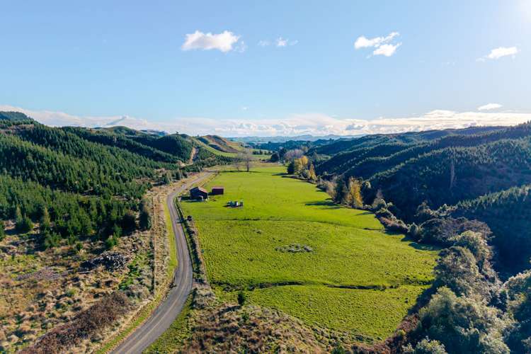 253 Waipuru Road Ohingaiti_21