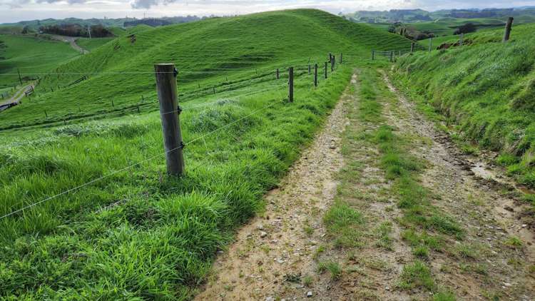 348 Ratapiko Road Ratapiko_10