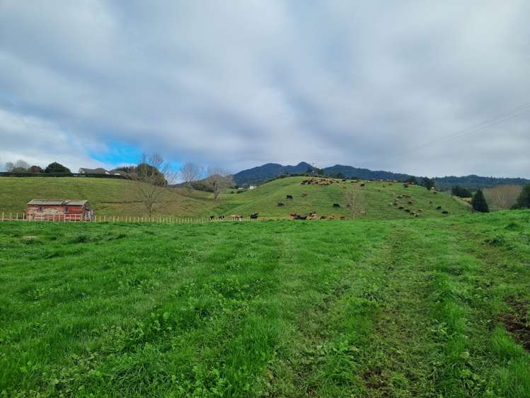 474 O'Shea Road Pirongia_4