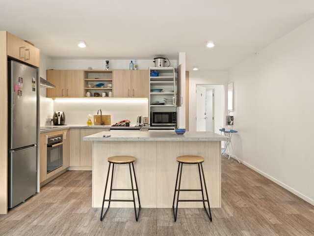 1 2 3/33 Malvern Street, Woodhaugh_3