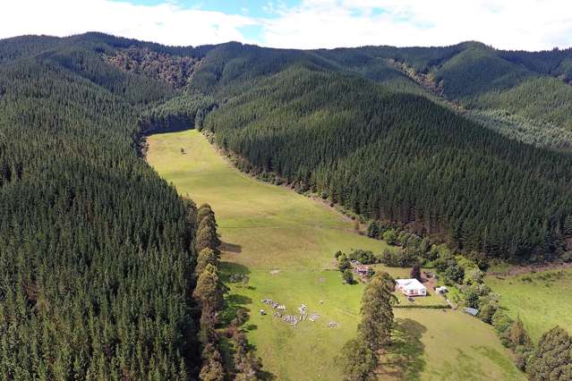 739 Tadmor-Glenhope Road Kahurangi National Park_3