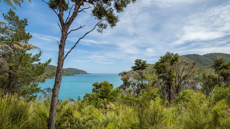 Croisilles-French Pass Road Okiwi Bay_15