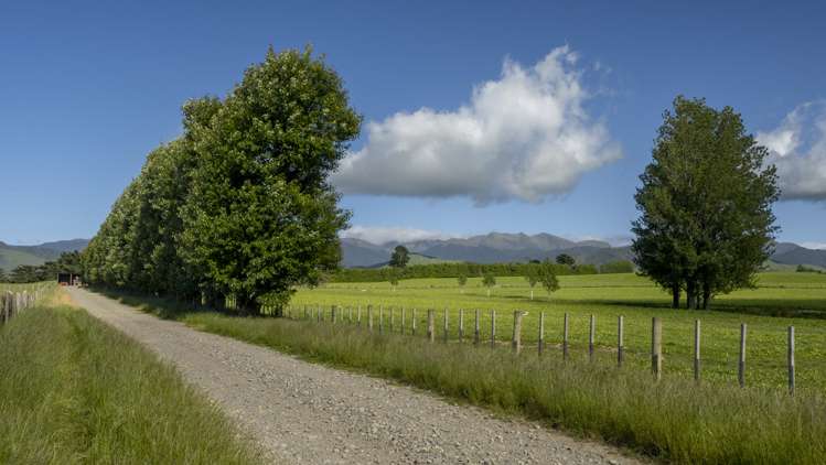 188 Burnetts Road Kaituna_7