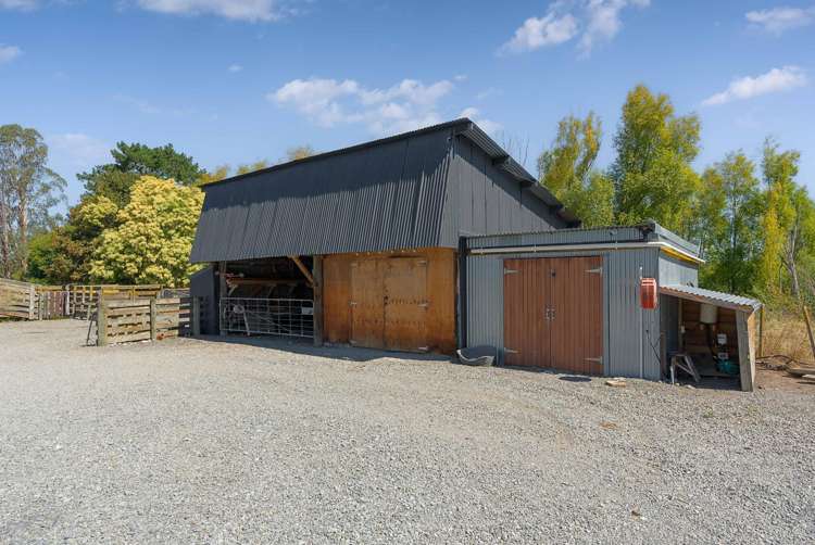 161 Upper Manaia Road Upper Plain_21