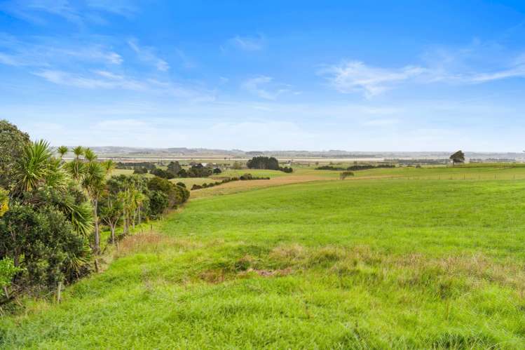 184 Bradleys Landing East Road Dargaville Surrounds_24