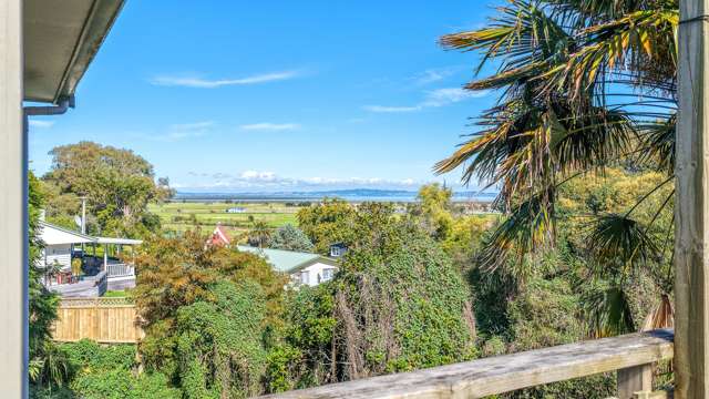 111B Grafton Road Thames_3