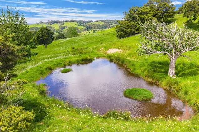 Norvil Road Titoki_3