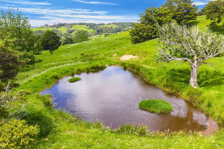 Norvil Road Titoki_3