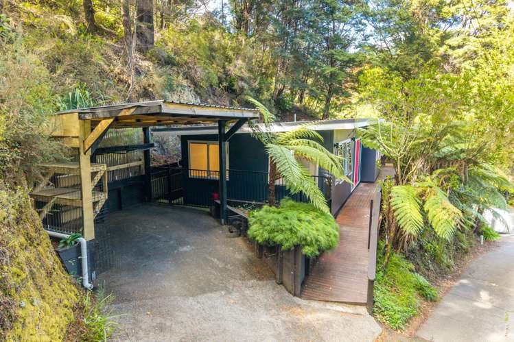 90 Blue Mountains Road Pinehaven_17