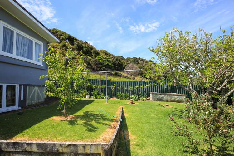 4 Tapu Coroglen Road Tapu_17