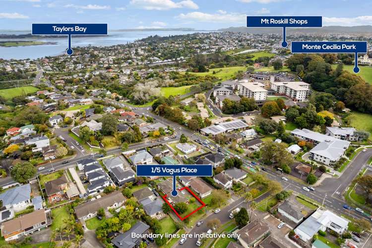 1/5 Vagus Place Royal Oak_11