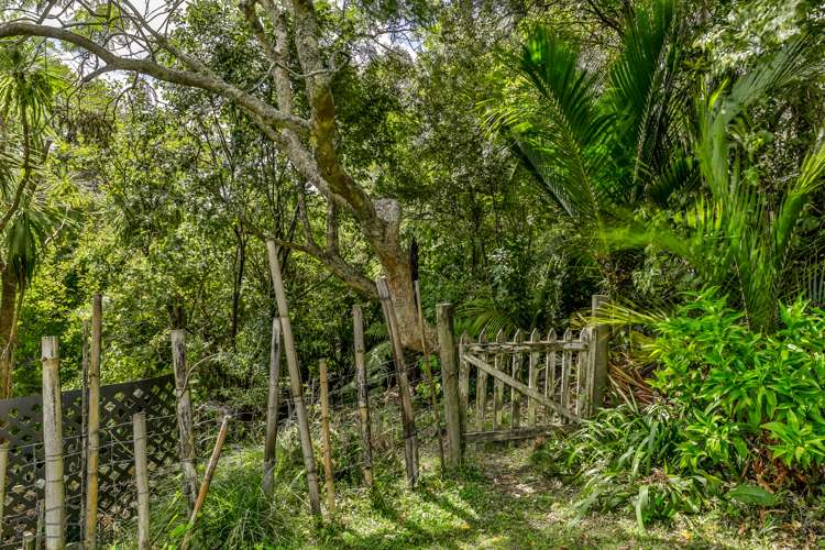 38 Opou Road Titirangi_37