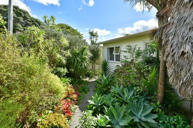 8 Ocean View Road Hatfields Beach_13
