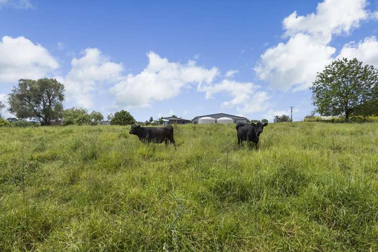 152 Te Kawa Road Otorohanga_21