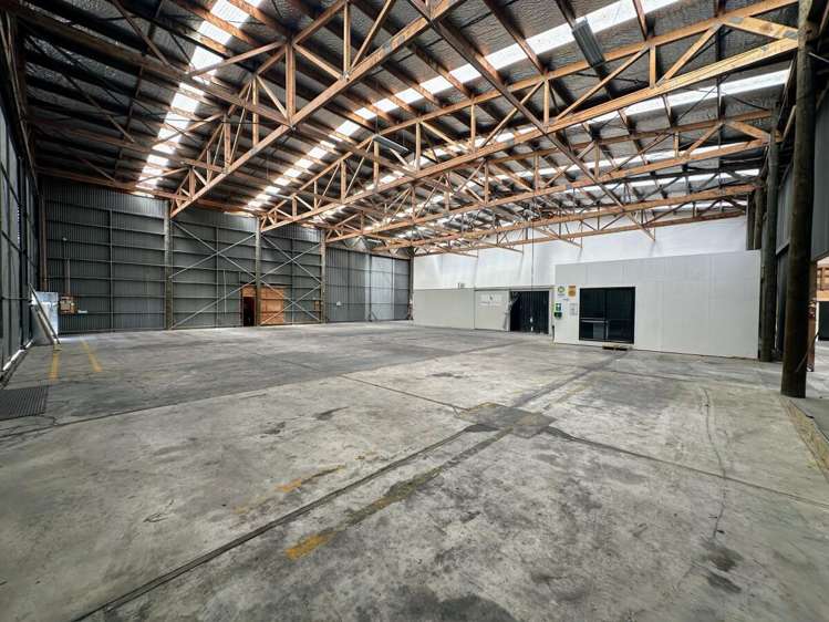 19 Manuka Street Tauhara_11