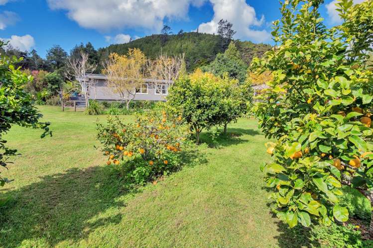 742b Tara Road Mangawhai_24