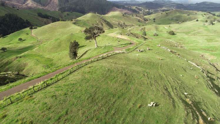 481 Moore Road Pipiwai_9