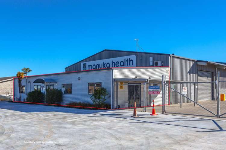 .249 Bruce Berquist Drive Te Awamutu_5