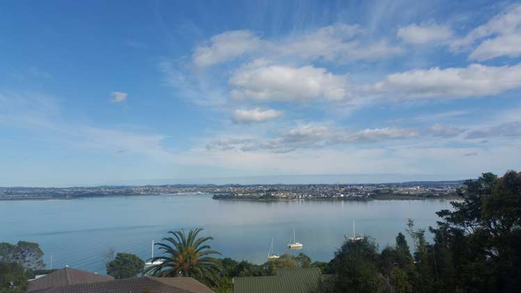 43 Hadfield Street Beach Haven_8