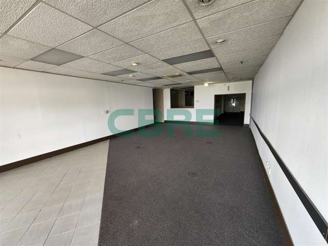 25 Springs Road East Tamaki_2
