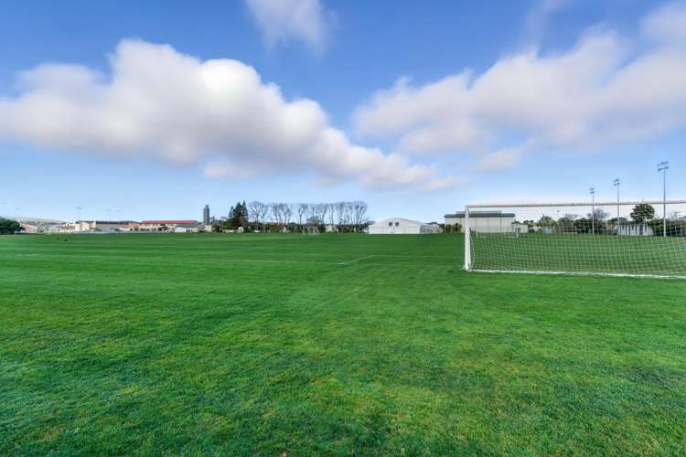 253 Macandrew Road Forbury_27