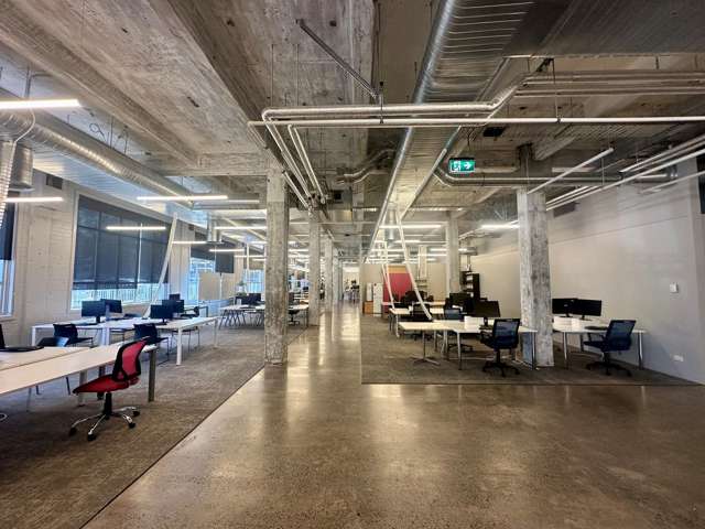 24 Balfour Road Parnell_4