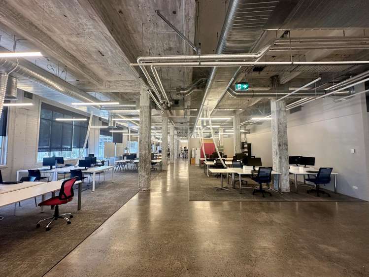 24 Balfour Road Parnell_4