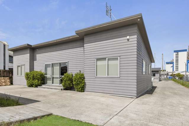 19A Allen Street Morrinsville_3