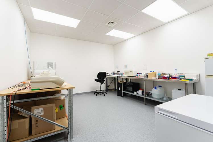 248 Cumberland Street Dunedin Central_43