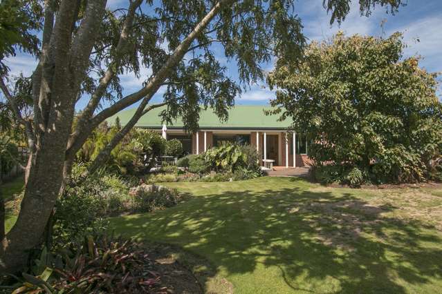 7 Atlanta Court Katikati_3