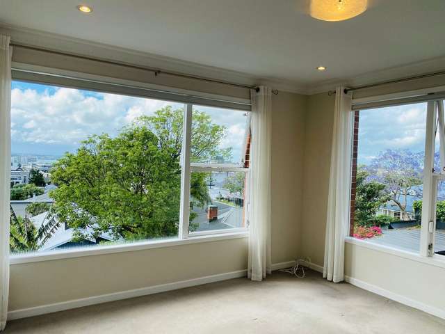 7/5 Birdwood Crescent Parnell_4