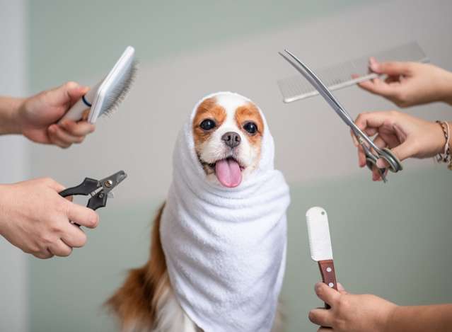 Address withheld Auckland_1