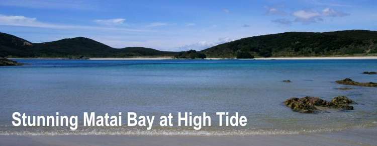 32 Carrington Drive Karikari Peninsula_5