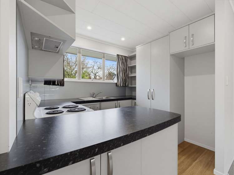 48A Domain Road Whakatane_19