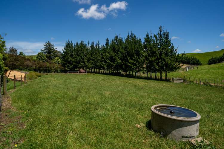 378 Chepmell Road Morrinsville_18