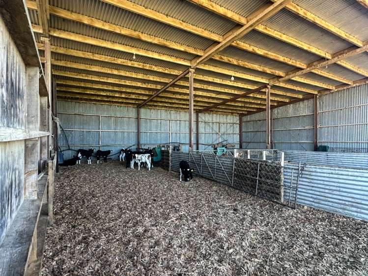 793 Edendale Woodlands Highway Winton Surrounds_17