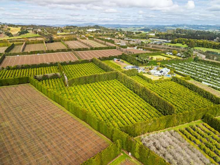 581D Kerikeri Road Kerikeri_7