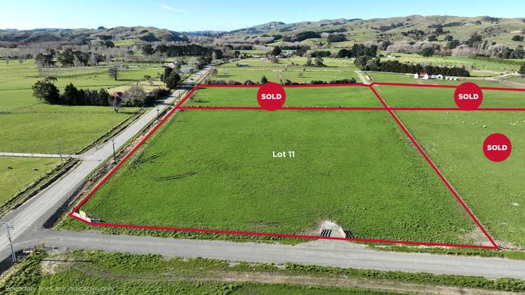 631 Opaki-Kaiparoro Road, R D 2 Masterton_6