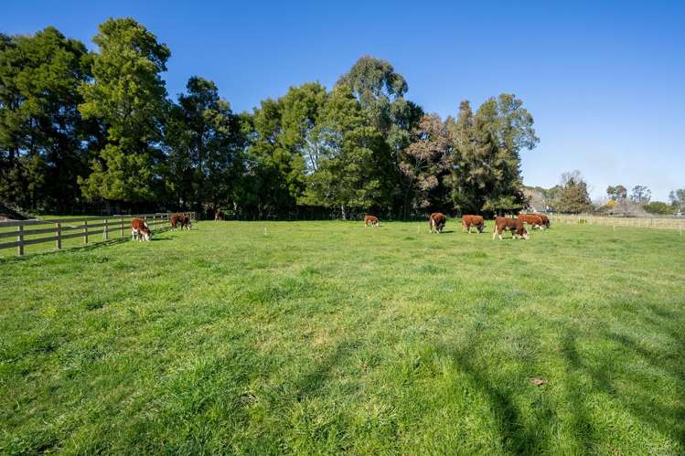 47 Rosebanks Drive Tamahere_31