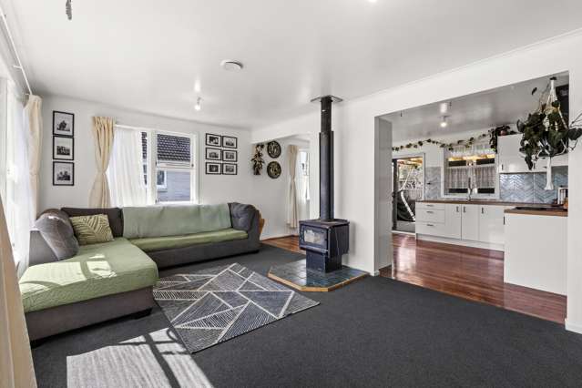 42 Mason Avenue Maraenui_1