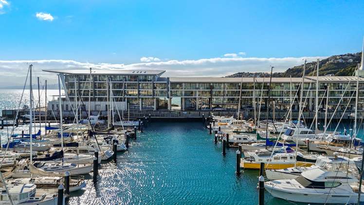 3b/6 Clyde Quay Wharf Te Aro_28