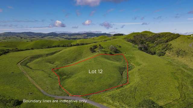 324 Mahuta Road Mangatarata_4