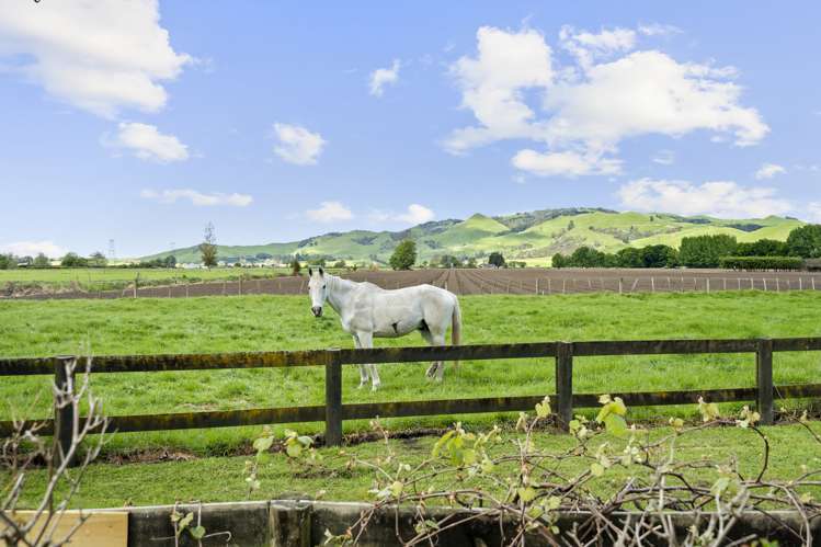 73 Massey Road Rotoorangi_30