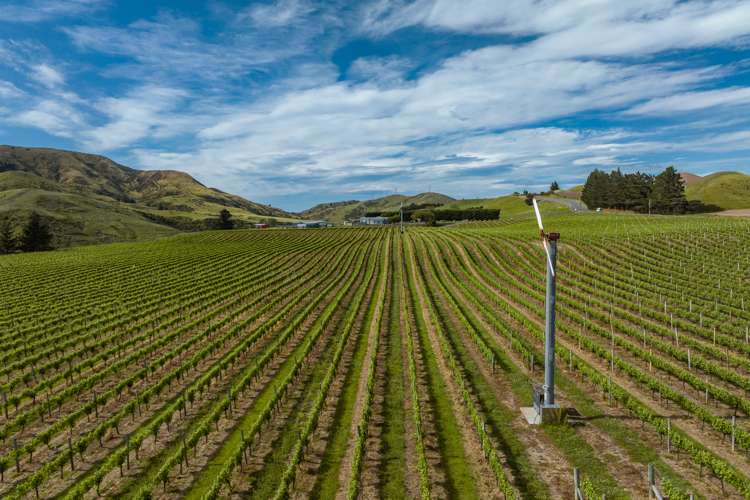 7797 State Highway 1 Ward_13