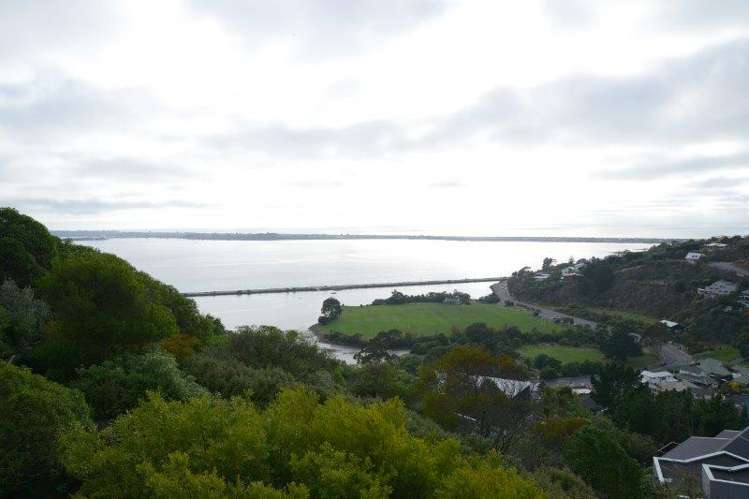 65 Santa Maria Avenue Mount Pleasant_12