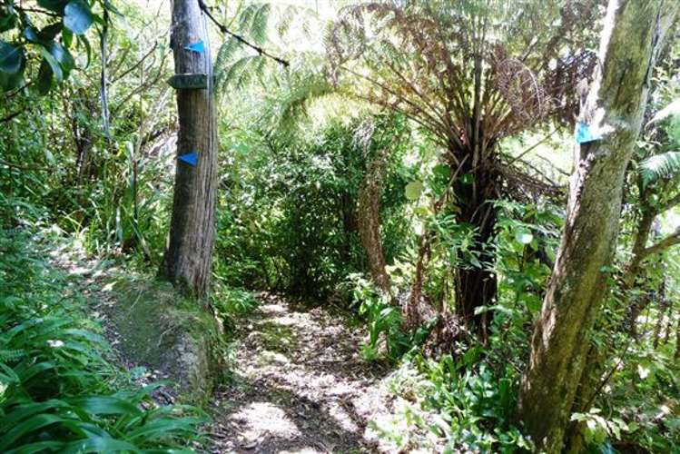 Arthurs Bay Kenepuru Sound_12