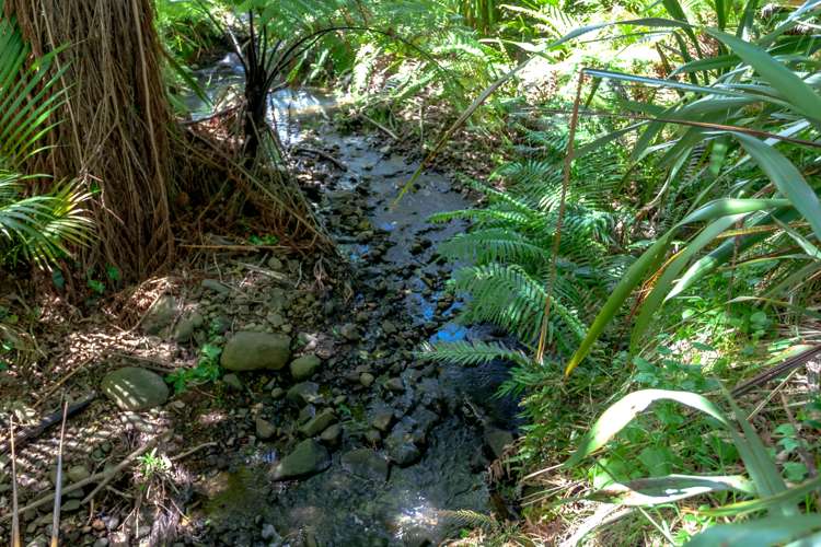 324 Tapu Coroglen Road Tapu_26