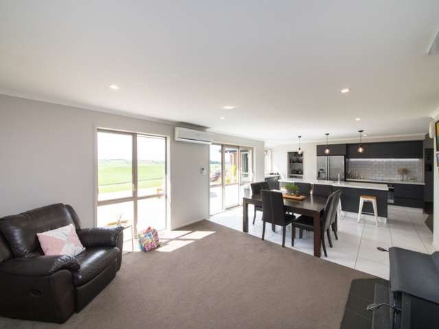 161 Mount Taylor Drive Feilding_3