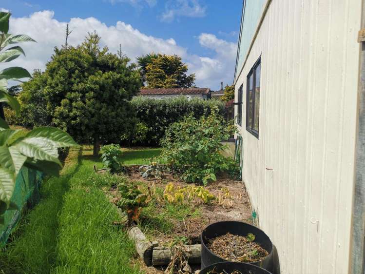 1 Prion Place One Tree Point_17