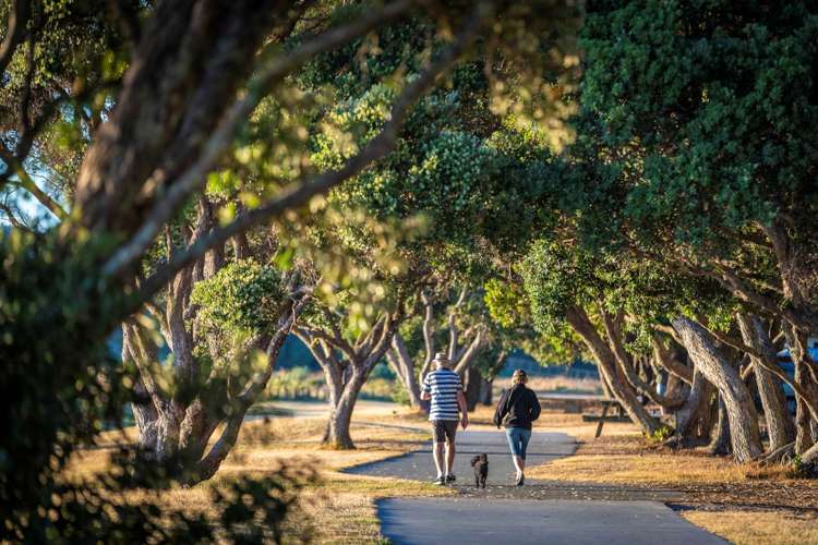 304/252 Centreway Road Orewa_20